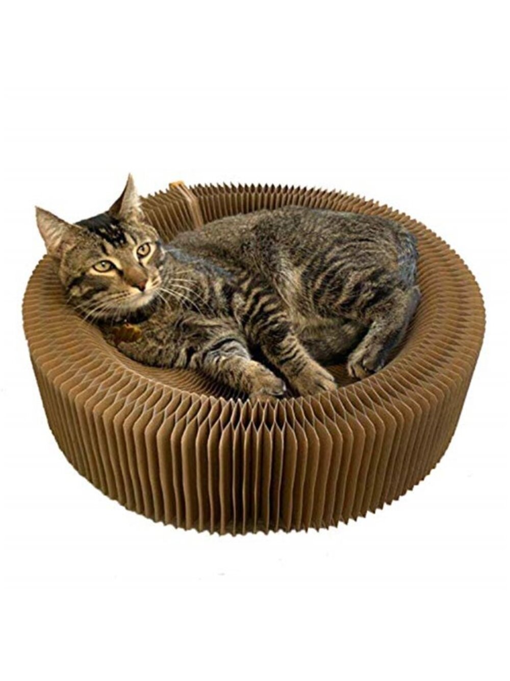 Beige Cardboard Cat Scratcher Bed Foldable Corrugated Lounge Large Breed Durable